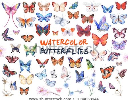 Сток-фото: Orange Watercolor Butterfly
