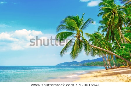 Stock fotó: Tree Islands In The Sea