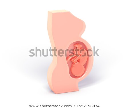 ストックフォト: Female Uterus Beautiful Transparent Design