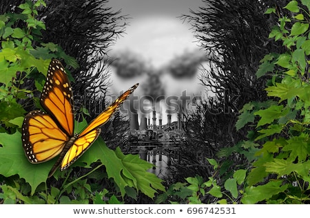 Foto stock: Environmental Destruction Of Habitat