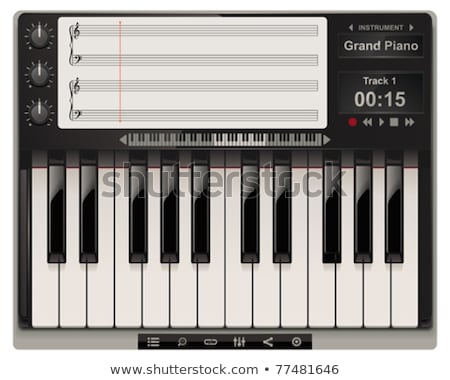 Stock foto: Vector Grand Piano Xxl Icon