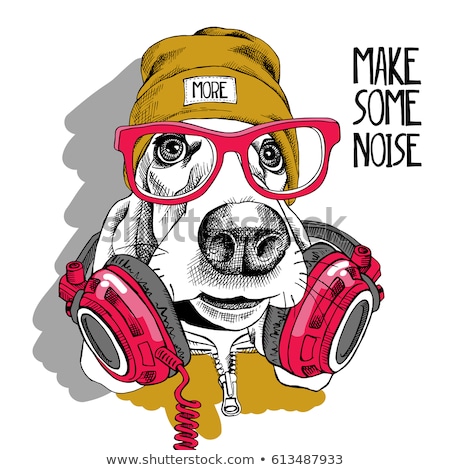Stok fotoğraf: Funny Dog Nose Hat Glasses