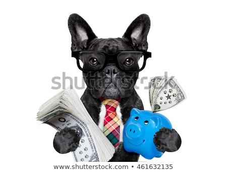 Stock foto: Money Saving Dog