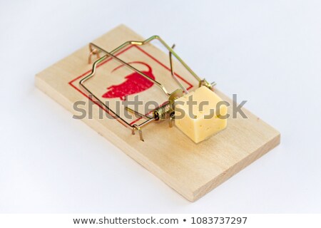 Stock fotó: Wooden Mouse Trap