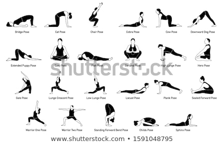[[stock_photo]]: Vector Illustration Of Yoga Positions In Cobra Pose