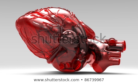 Stock fotó: Model Of Artificial Human Heart