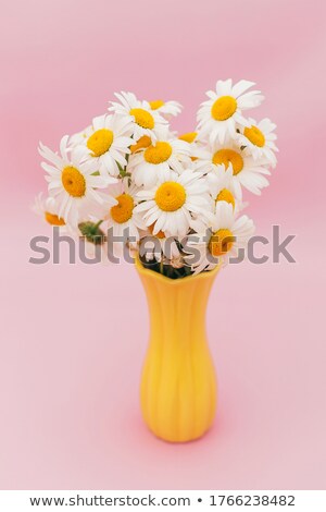 Foto stock: Three Pink Gerber Flowers In Green Vase