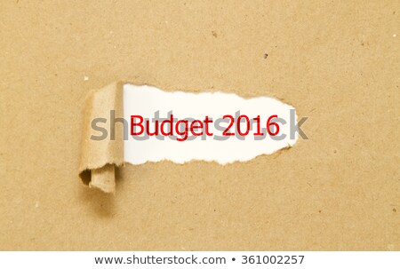 Stockfoto: Budget Year 2016 Torn Paper Concept