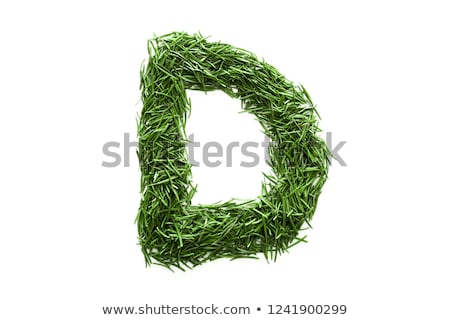 Stock photo: Many Words For Letter D