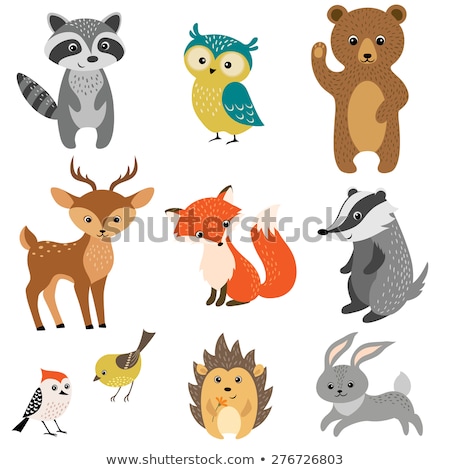 [[stock_photo]]: Set Of Forest Woodland Animals Isolated Vector Illustration