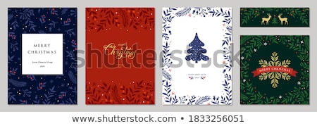 Foto stock: Christmas Winter Snowflakes On Red Banner Background