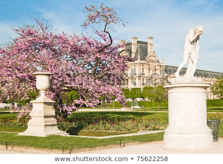 Foto d'archivio: Louvre Palace In Paris