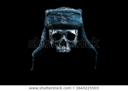 Stok fotoğraf: Skull With Hat With Ear Flaps