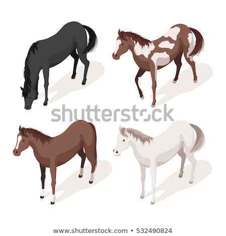 Stock fotó: Equestrian Animal Isometric Icons Set Vector