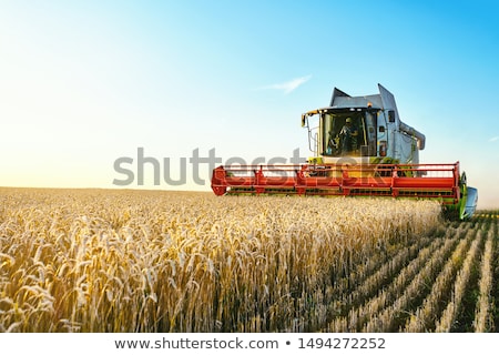 Stockfoto: Harvest