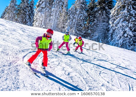 ストックフォト: Ski School Slalom