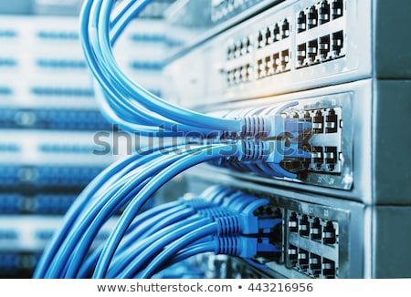 Stok fotoğraf: Network Cables Connected To Switch