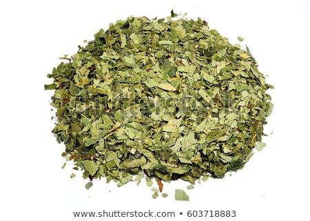 ストックフォト: 燥した白樺の葉からのお茶