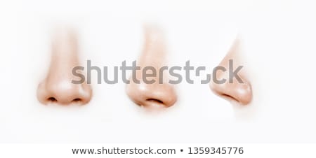 ストックフォト: Human Nose Isolated On White