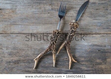 Foto d'archivio: Pattern From Metalic Old Knives And Forks With Wooden Handles Presented On A Gray Background With Sp