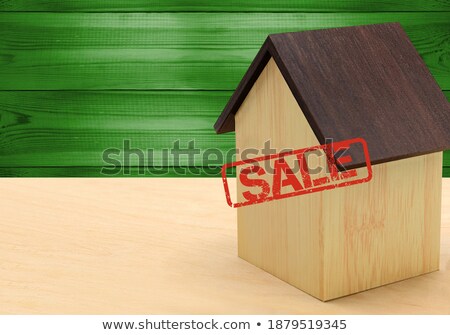 Stock fotó: House With Flag Of Libya