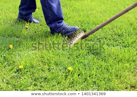 Stok fotoğraf: Step On The Same Rake Man