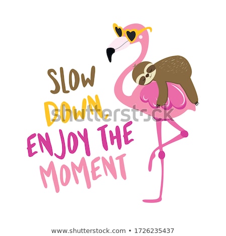 Foto stock: Slow Down Enjoy The Moment - Cute Sloth Riding On Flamingo