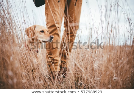 Zdjęcia stock: Hunting Man