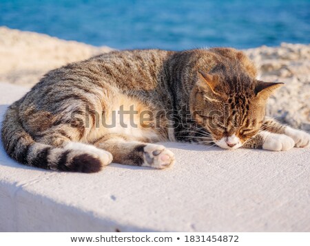 Foto stock: Promenade In Sori