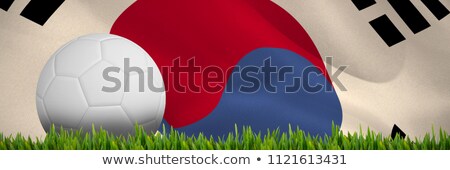 Foto stock: Grass Growing Outdoors Against Korea Republic Flag Waving