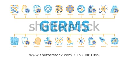 Сток-фото: Bacteria Germs Minimal Infographic Banner Vector