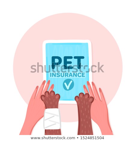 Сток-фото: Pet Insurance Paws Of Brown Cat With Bandage And Woman Hands Together Blue Document With Check Mar