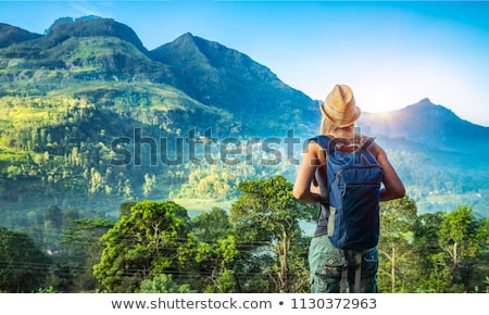 Stock fotó: Amazing Landscape Of Sri Lanka