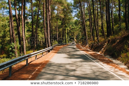 Stock fotó: Road In Cyprus