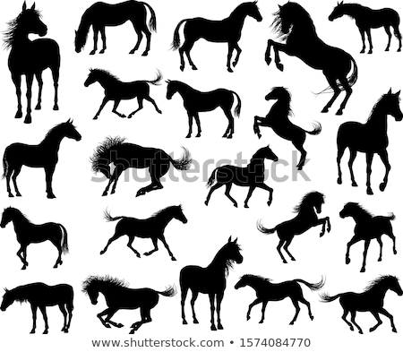 ストックフォト: Horse Silhouette In Show Horse Position
