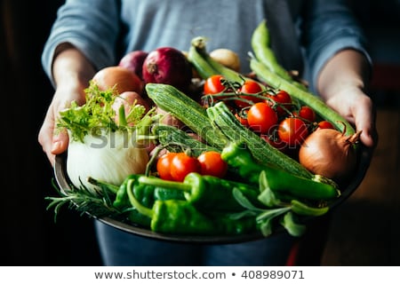 [[stock_photo]]: Farm Vegetable - Zucchini