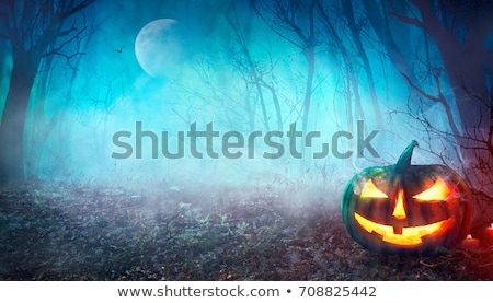 Fond d'halloween grunge [[stock_photo]] © mythja