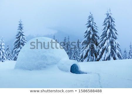 Zdjęcia stock: Snow Igloo In The Winter Mountain Forest