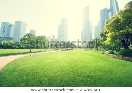 Foto stock: Green Landscape With City