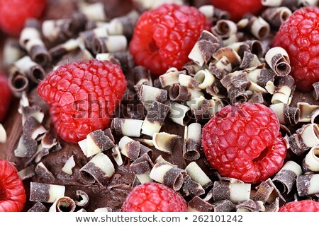 Stok fotoğraf: Chocolate Dessert With White Chocolate Curls Full Frame