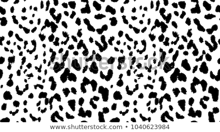 Stock photo: Abstract Seamless Background Leopard Skin