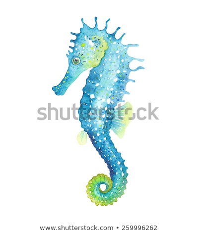 [[stock_photo]]: Sea Horse Drawn With Paint