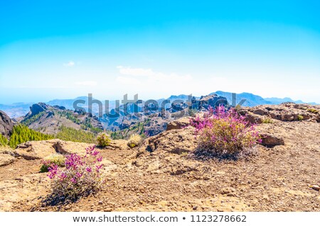 Stock photo: Gran Canaria Mountains