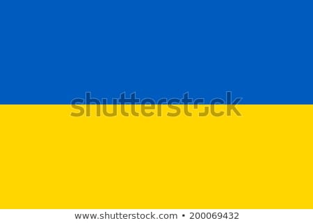 ストックフォト: Ukraine Flag Vector Illustration