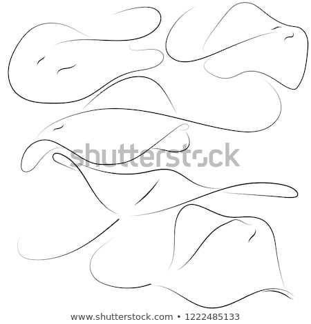 Imagine de stoc: Animal Outline For Stingray