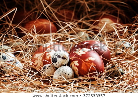 Stock foto: Easter Eggs Dyed With Onion Peels And Quail Eggs