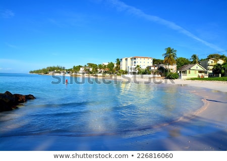 Stock fotó: Maxwell Beach Barbados Caribbean