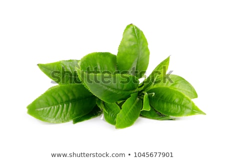 Zdjęcia stock: Green Tea Leaves Isolated On White