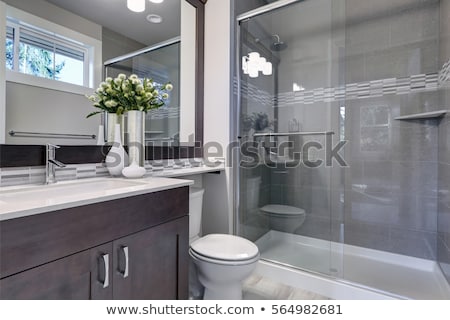 [[stock_photo]]: Modern Bathroom Interior With White Vanity Topped With Gray Countertop
