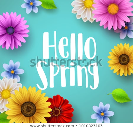 Stock fotó: Floral Frames Hello Spring